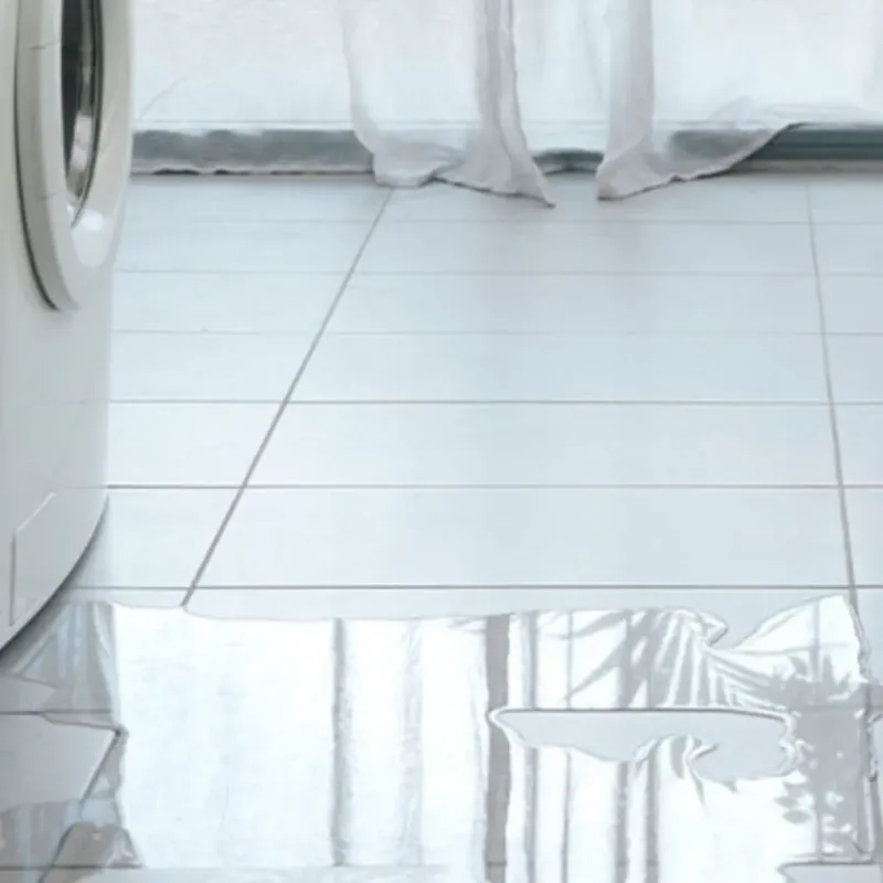 Appliance Leak Cleanup in Nelson, GA